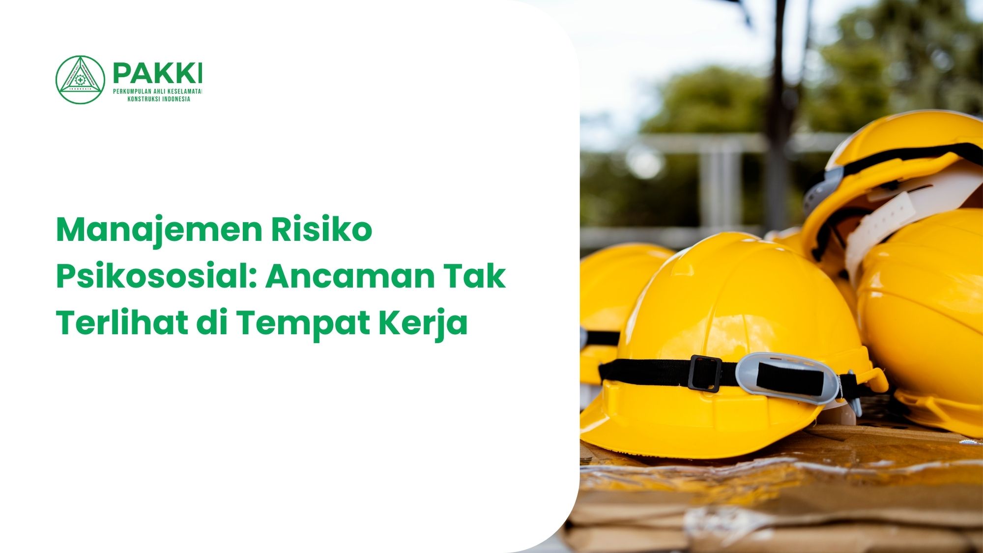 https://cms-admin.pakki.org/storage/artikel/759-Cover LSP (13).jpg